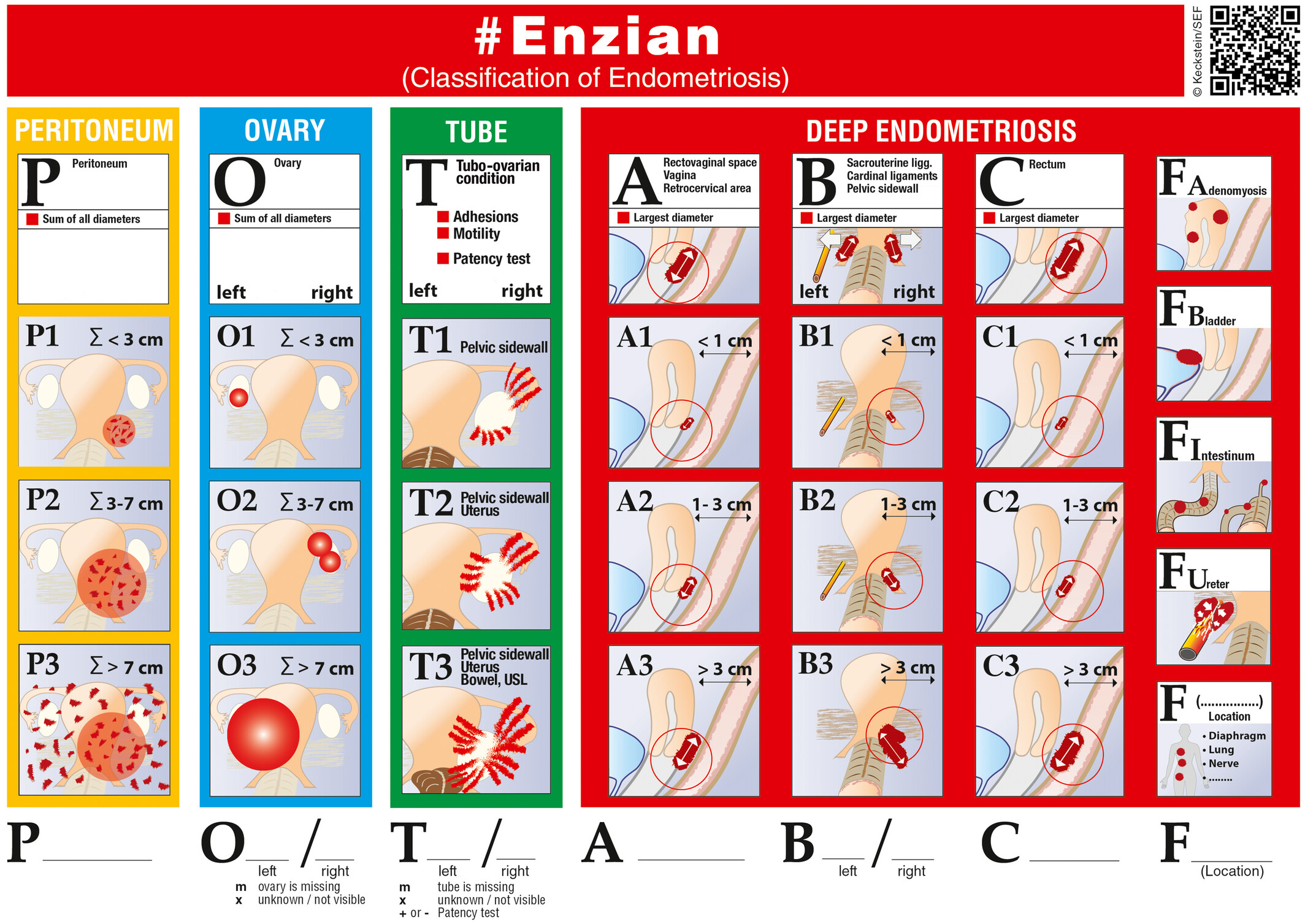 Clasificarea #Enzian